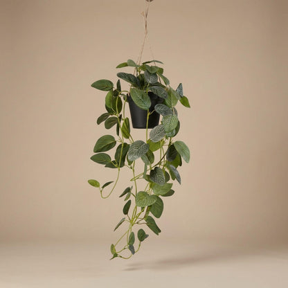 Fittonia - hangplant in pot - 70 cm - Kunstplant 