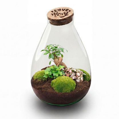 'LOVE MOM' terrarium Drop XL + gravierter Kork - Flaschengarten DIY Set – Ø 24 cm ↑ 37 cm -  Muttertag 
