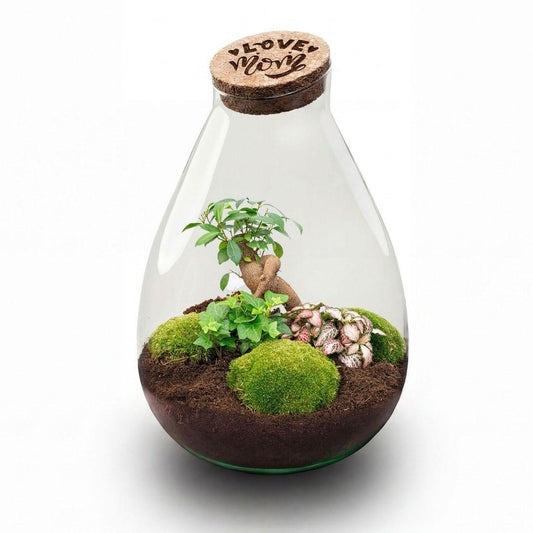 'LOVE MOM' terrarium Drop XL + gravierter Kork - Flaschengarten DIY Set – Ø 24 cm ↑ 37 cm -  Muttertag 
