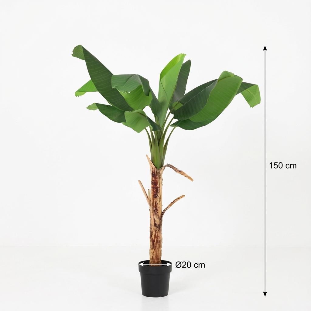 Bananenpflanze Musa Kunstpflanze 150cm – Tropische Deko Pflanze – Pflegefreie Kunstpalme für Wohnzimmer Büro & Empfangsbereich - Oasis of Life