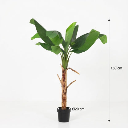 Bananenpflanze Musa Kunstpflanze 150cm – Tropische Deko Pflanze – Pflegefreie Kunstpalme für Wohnzimmer Büro & Empfangsbereich - Oasis of Life