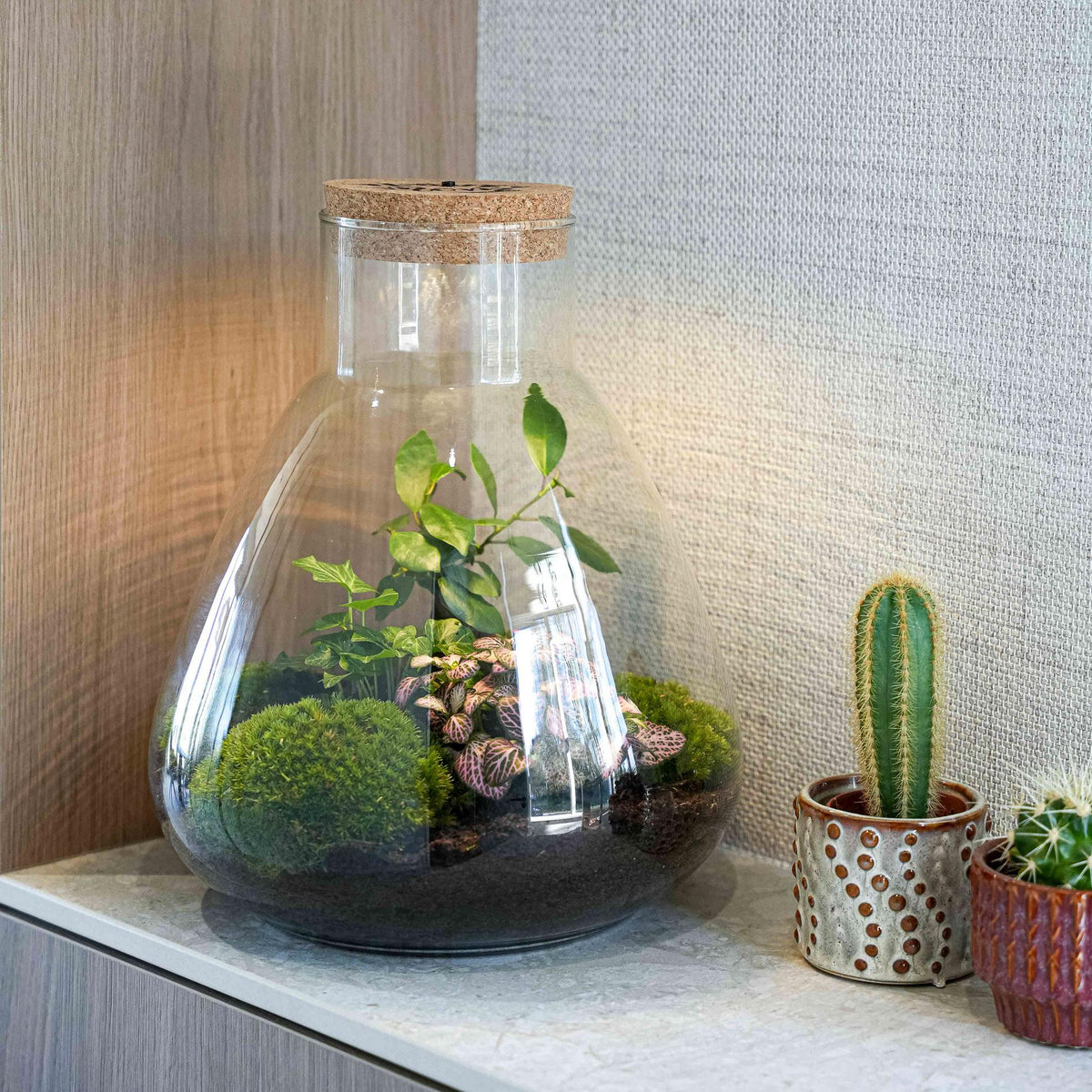 'LOVE MOM' Terrarium Sam + gravierter Kork mit Licht - Flaschengarten DIY Set - Ø 24.5 cm ↑ 30 cm - Muttertag 