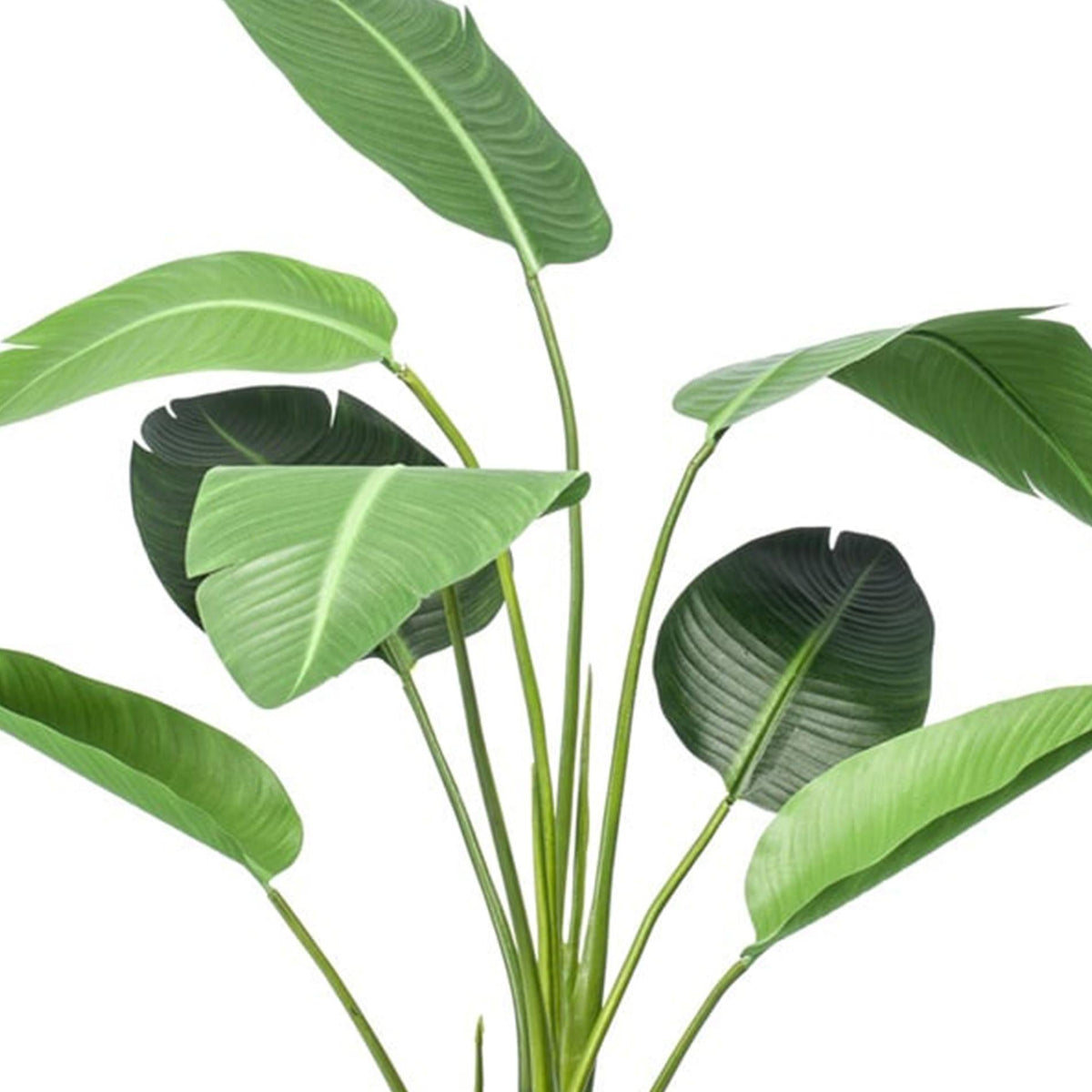 Strelitzia Kunstpflanze – 120 cm – schwarzer Topf – Tropischer Zimmerpflanzen-Look ohne Pflege – Große Deko-Pflanze für Wohnzimmer, Büro & Flur 