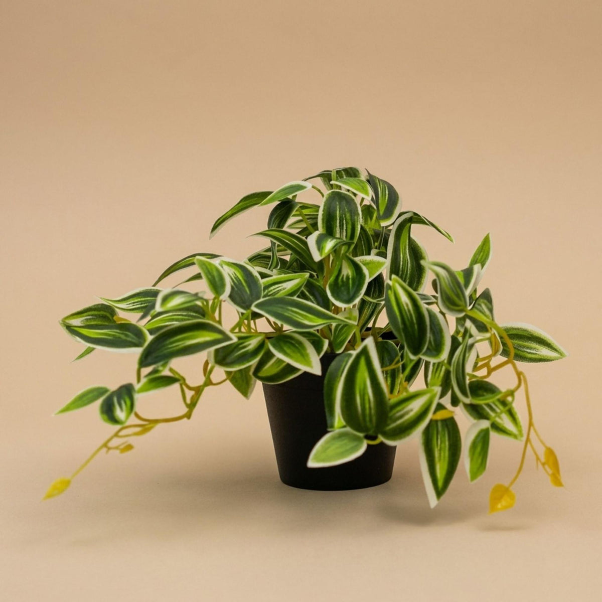Tradescantia Grün/Weiß im Topf - 19 cm - Kunstpflanze 