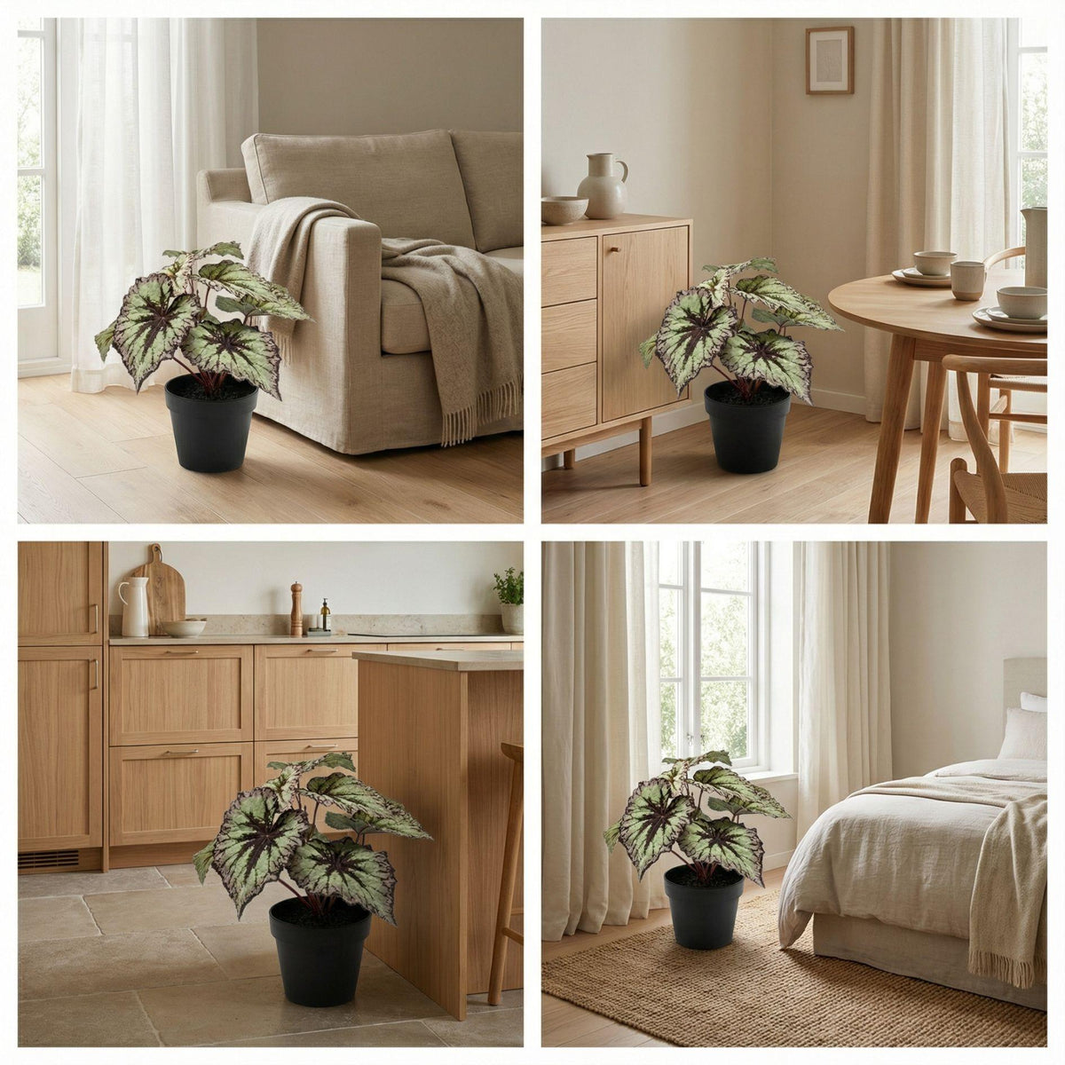 Begonie Kunstpflanze – ca.26cm – Grau-violette Blätter – UV-beständig – Künstliche Pflanze im Topf – Pflegefreie Deko für Innen & Außen Balkon Terrasse - Oasis of Life