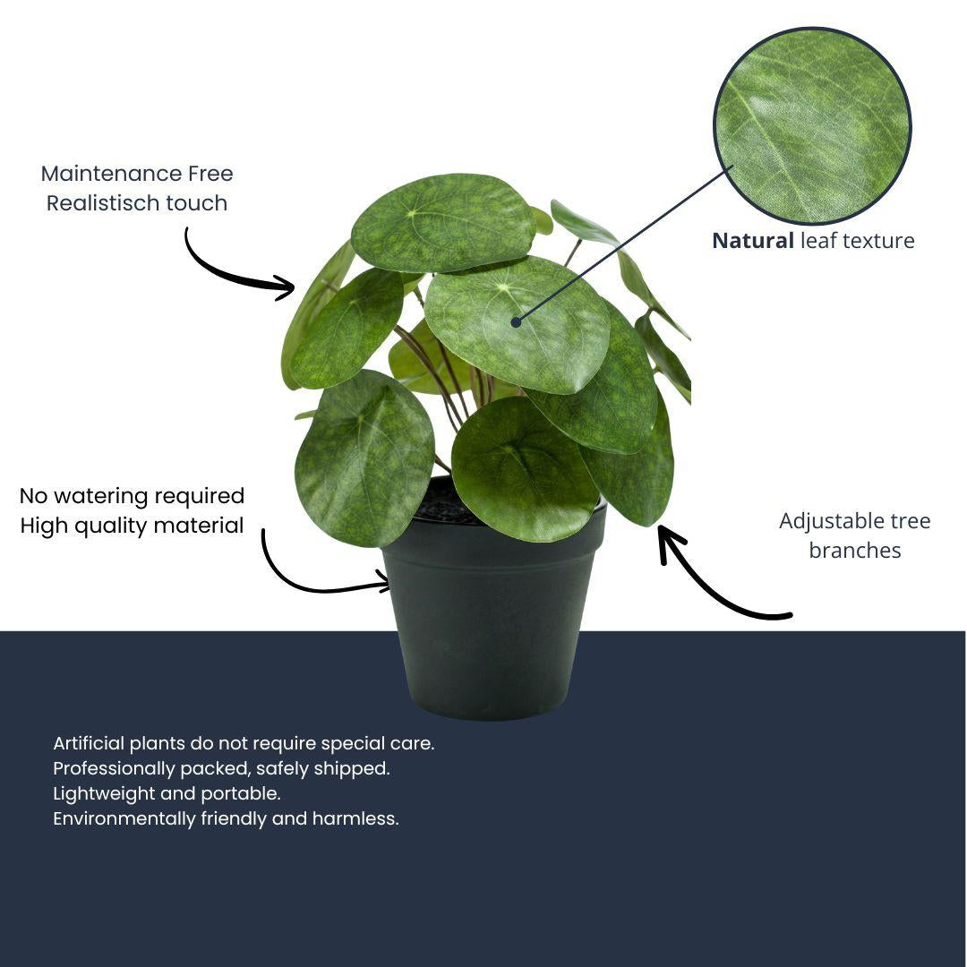 Pilea Kunstpflanze Busch – ca.25cm – Im schwarzen Topf – Realistische künstliche Zimmerpflanze – Pflegefreie Deko für Fensterbank Regal & Büro - Oasis of Life