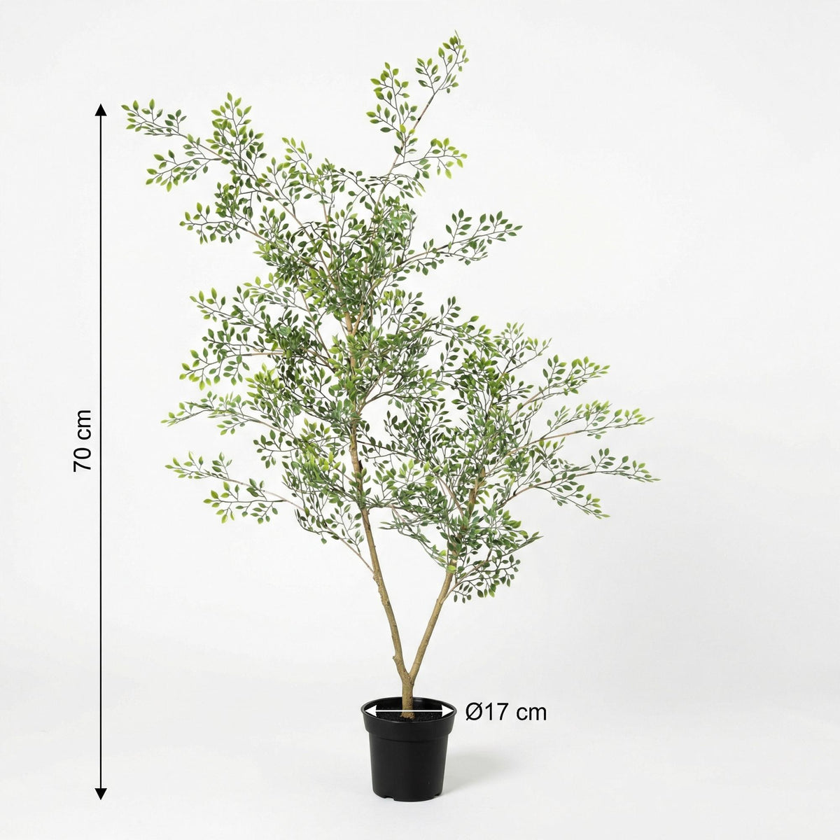 ARTIFICIAL Bucida - 71cm 
