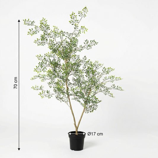 ARTIFICIAL Bucida - 71cm 