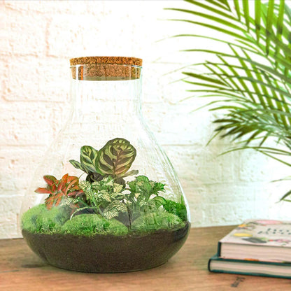 Flaschengarten Sam XL Rot – DIY Bausatz Terrarium – ↕35cm – Do-It-Yourself Pflanzen-Set – Autarkes Mini-Ökosystem – Inkl. Pflanzen, Erde & Zubehör – Perfekt für Wohnung & Büro 