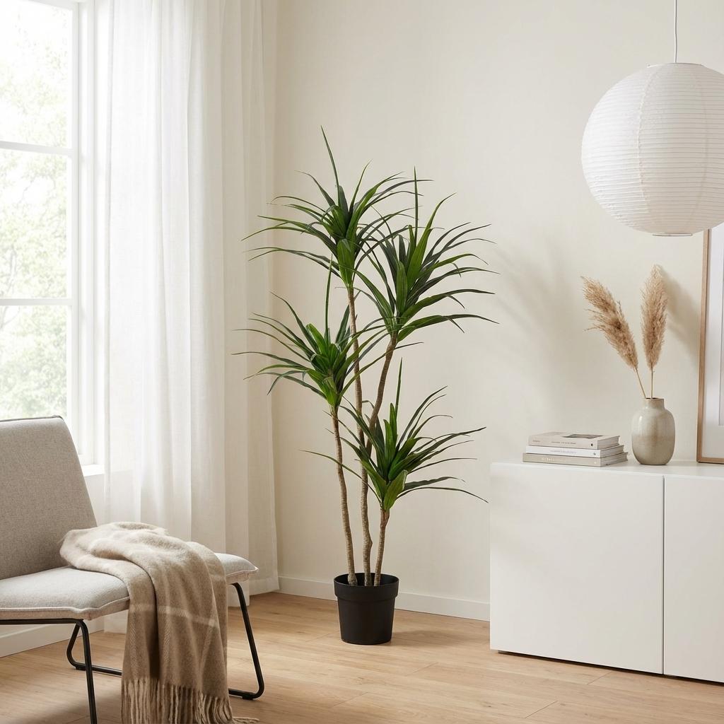 Dracaena Kunstpflanze 165cm – Große Drachenbaum Deko Pflanze – Pflegefreie Zimmerpflanze für Wohnzimmer Büro & Empfangsbereich - Oasis of Life