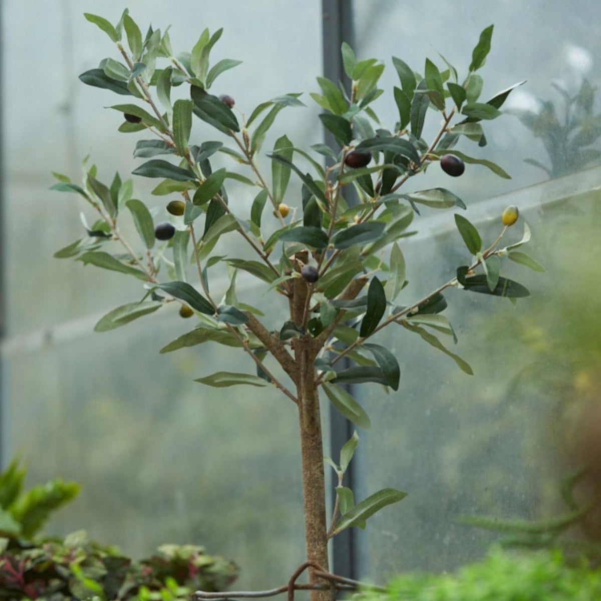 Olijfboom in pot 65cm – Kunstplant - Artificial plant 