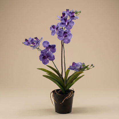 Orchidee Vanda Kunstpflanze – ca.60cm – Violett – Künstliche Orchidee im Topf – Pflegefreie Dekopflanze für Wohnzimmer Büro & Empfang - Oasis of Life