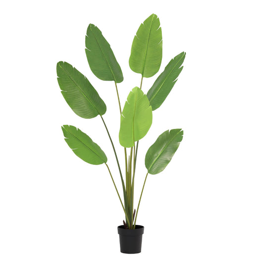 ARTIFICIAL Strelitzia Nicolai - 170cm 