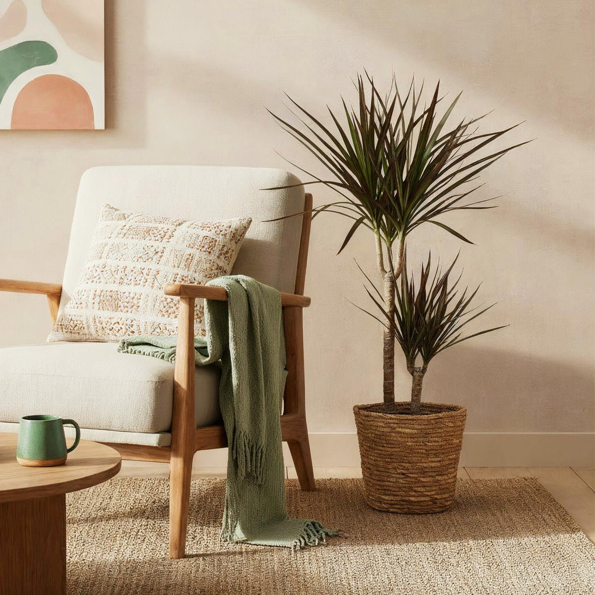 Green boutiQ - Zimmerpflanzen - Dracaena Magenta - Drachenbaum - Pflegeleicht - Rot - 1 Pflanze - Topf 21cm - Höhe 90-100cm 