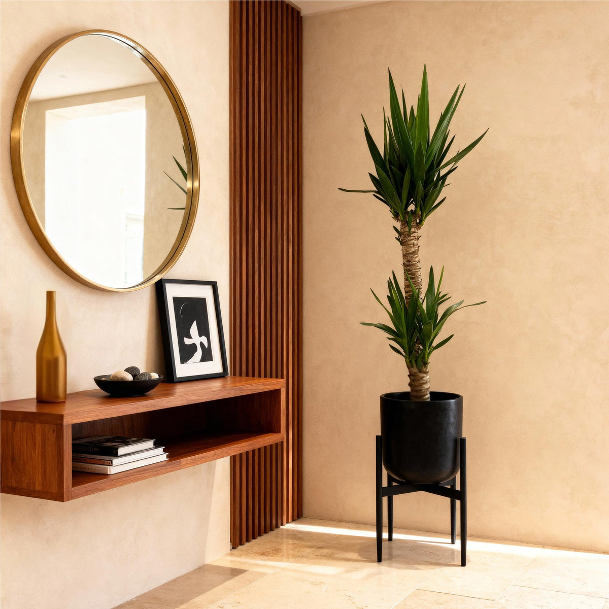 Yucca Elephantipes – 120cm – ø19cm – Pflegeleichte Palmlilie mit schmalen Blättern – Robuste Zimmerpflanze für helle & halbschattige Räume – Elegante Grünpflanze für Wohnzimmer & Büro 