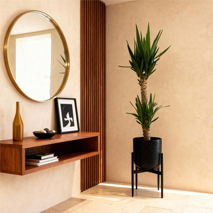 Yucca Elephantipes – 120cm – ø19cm – Pflegeleichte Palmlilie mit schmalen Blättern – Robuste Zimmerpflanze für helle & halbschattige Räume – Elegante Grünpflanze für Wohnzimmer & Büro 