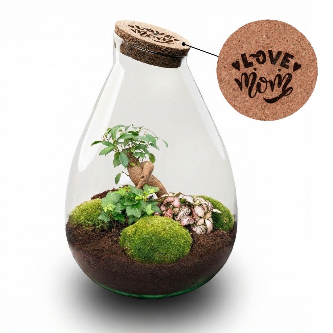 'LOVE MOM' terrarium Drop XL + gravierter Kork - Flaschengarten DIY Set – Ø 24 cm ↑ 37 cm -  Muttertag 