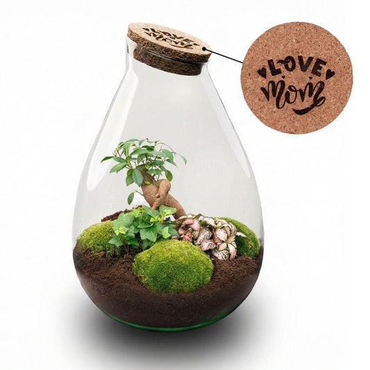 'LOVE MOM' terrarium Drop XL + gravierter Kork - Flaschengarten DIY Set – Ø 24 cm ↑ 37 cm -  Muttertag 