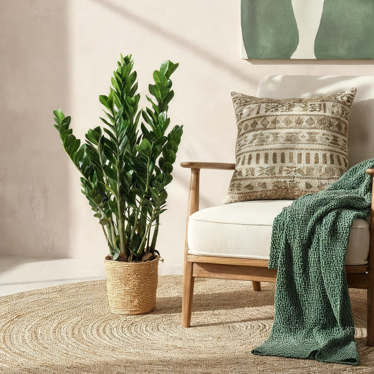 Green boutiQ - Zimmerpflanzen - Zamioculcas - ZZ-Pflanze - Wenig Pflege - mit Korb - Grün - 1 Pflanze - Topf 21cm - Höhe 80-90cm 