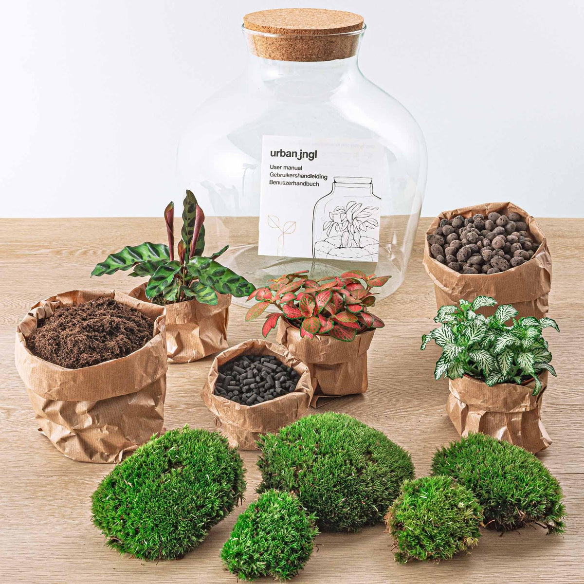 Flaschengarten - DIY Bausatz - Terrarium - Fat Joe Rot - ↕30cm 