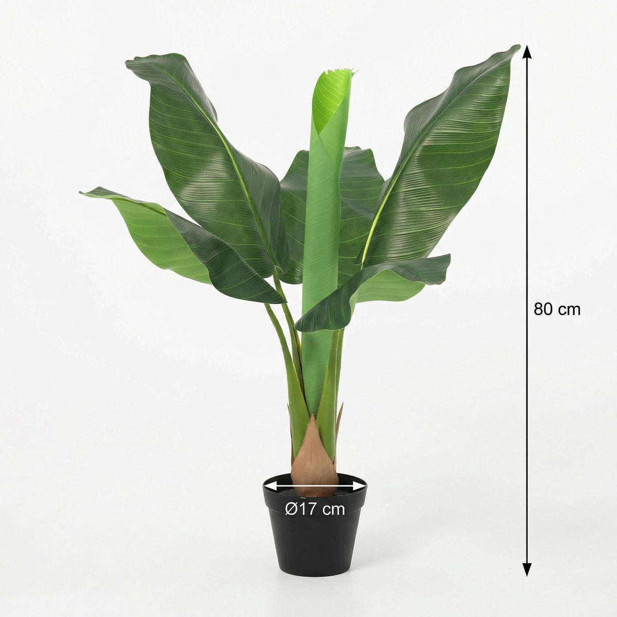 ARTIFICIAL Banana plant Musa - 80cm 