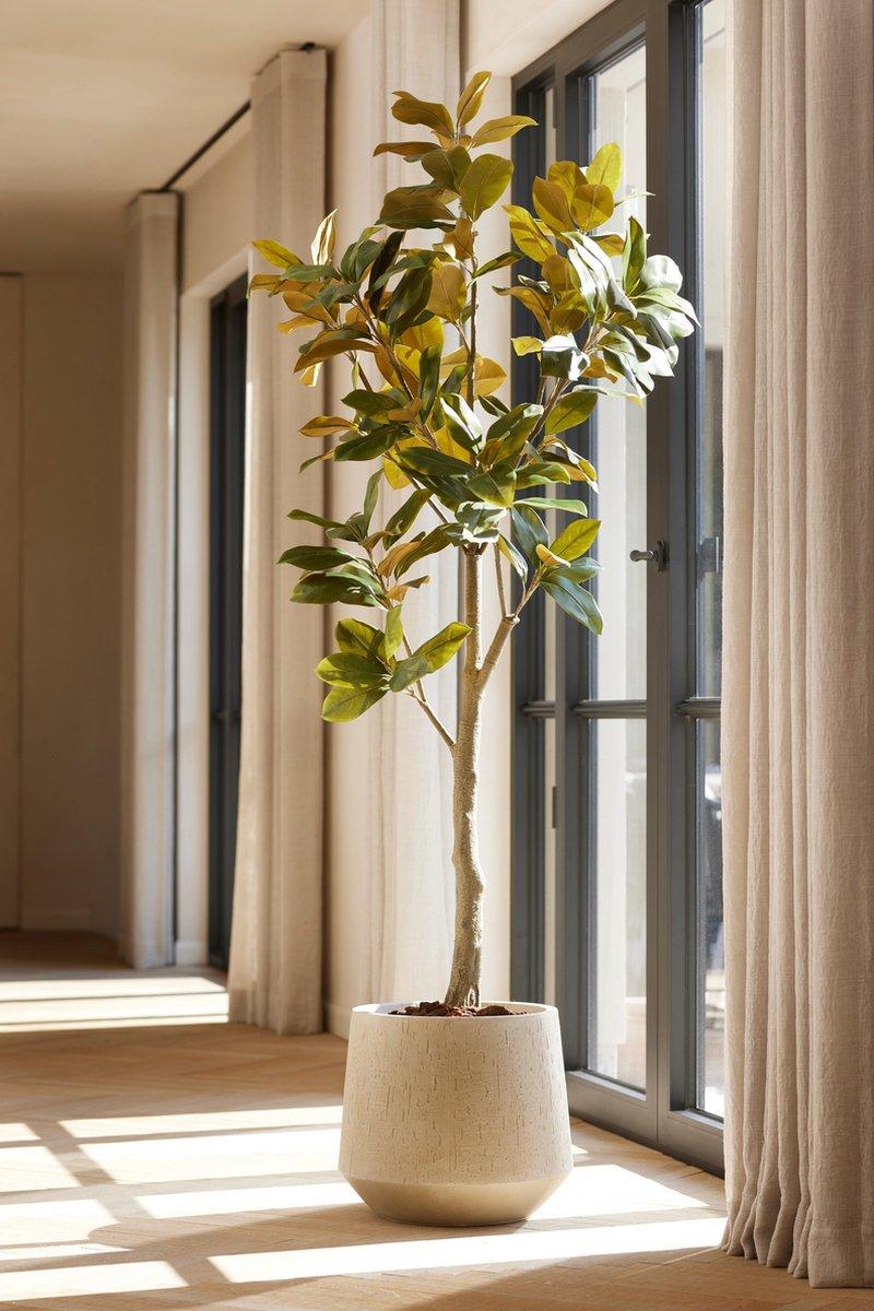 Magnolia Denudata – 150 cm Kunstbaum – Künstliche Magnolie Weiß – Pflegeleichte Deko für Zuhause & Büro 