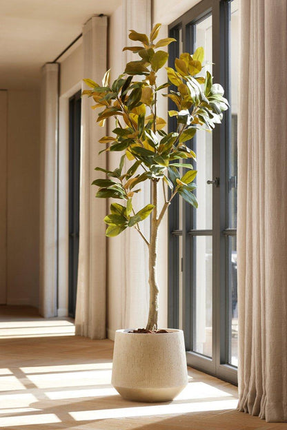 Magnolia Denudata – 150 cm Kunstbaum – Künstliche Magnolie Weiß – Pflegeleichte Deko für Zuhause & Büro 