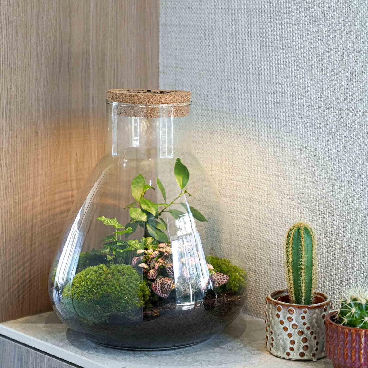 'LOVE MOM' Terrarium Sam + gravierter Kork mit Licht - Flaschengarten DIY Set - Ø 24.5 cm ↑ 30 cm - Muttertag 