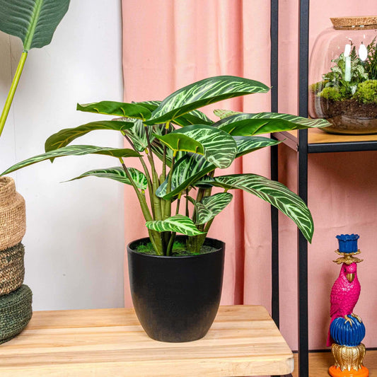 Calathea Zebrina – Korbmarante – Kunstpflanze – 42cm hoch – Schwarzer Topf Ø10–16cm – Realistisches Zebramuster – Pflegeleicht & dekorativ – Für Zuhause & Büro 
