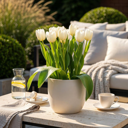 GreenboutiQ - Blumenzwiebeln - Tulp Triumph White - Farbe Weiß - 15 Stück - Zwiebelgröße 11/12 - XXL Pack 