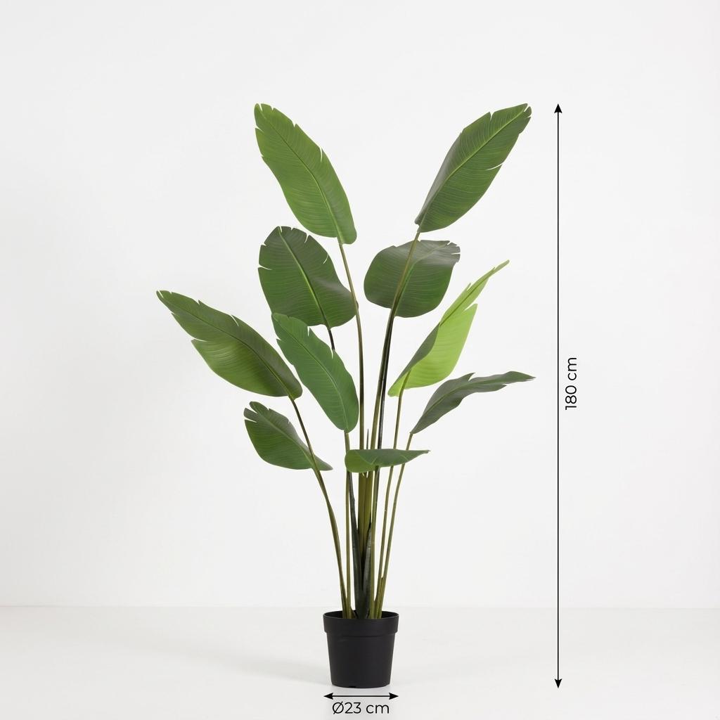 Strelitzia Nicolai Kunstpflanze 180cm – Große Paradiesvogelblume Deko Pflanze – Pflegefreie Zimmerpflanze für Wohnzimmer Büro & Empfangsbereich - Oasis of Life