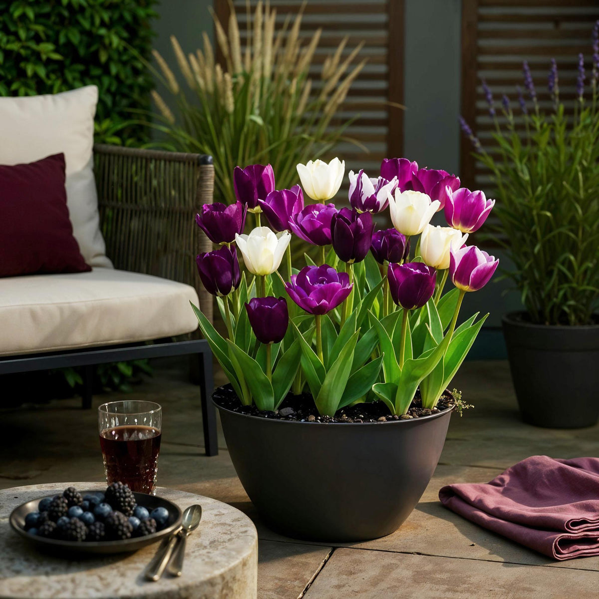 GreenboutiQ - Blumenzwiebeln - Tulp Blueberry mix - Verschiedene Farben - 12 Stück - Zwiebelgröße 11/12 - XXL Pack 