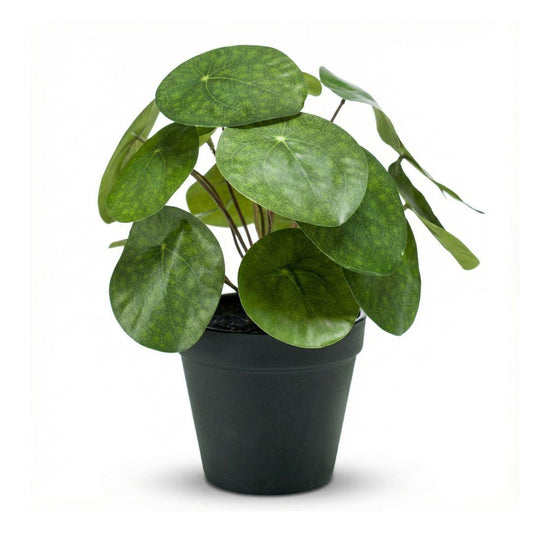 Pilea Kunstpflanze Busch – ca.25cm – Im schwarzen Topf – Realistische künstliche Zimmerpflanze – Pflegefreie Deko für Fensterbank Regal & Büro - Oasis of Life