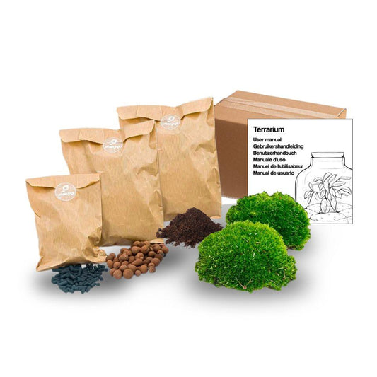 Flaschengarten - Pflanzenterrarium Nachfüllset & Starterset – DIY Komplettset - Moos, Erde, Blähton & Aktivkohle - 10–20cmØ - Anleitung & Pflegehinweise 
