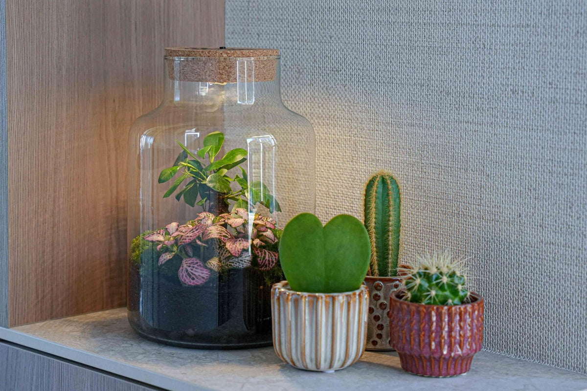 'LOVE MOM' Terrarium Little Milky + gravierter Kork mit Licht - Flaschengarten DIY Set - Ø 17 cm ↑ 25 cm - Muttertag 