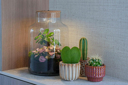 'LOVE MOM' Terrarium Little Milky + gravierter Kork mit Licht - Flaschengarten DIY Set - Ø 17 cm ↑ 25 cm - Muttertag 