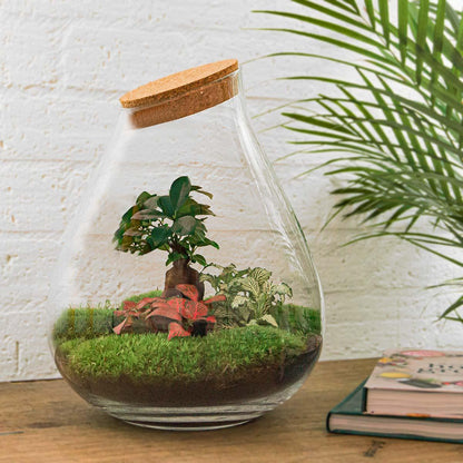 Flaschengarten - DIY Bausatz - Terrarium - Drop XL - ↕37cm 