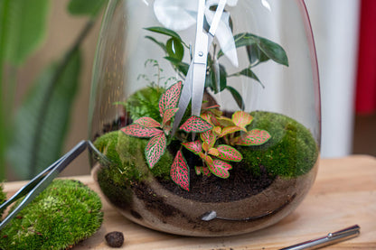 Lange Terrarienschere – Edelstahl – 25cm – Präzisionsschere mit gebogener Klinge – Rostfreie Aquascaping & Pflanzenpflege-Schere – Für Terrarien, Aquarien & Flaschengärten 