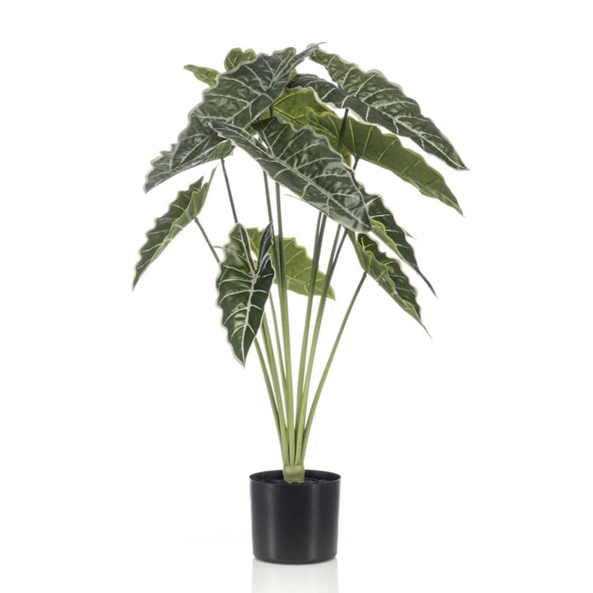 Alocasia Kunstpflanze 80cm – Tropischer Blickfang in Grün – Pflegeleicht & Realistisch – Ohne Gießen – Für Wohnzimmer, Büro & Gastronomie 