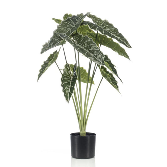 Alocasia Kunstpflanze 80cm – Tropischer Blickfang in Grün – Pflegeleicht & Realistisch – Ohne Gießen – Für Wohnzimmer, Büro & Gastronomie 