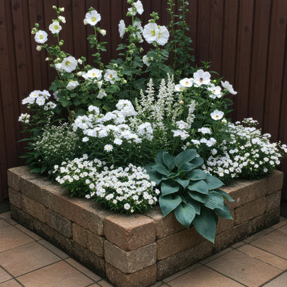 Staudenset – Weiß – 6 weiße Blühstauden – Für 1 m² Beet – Pflegeleicht – Eleganter Blütenteppich – Für sonnige Standorte – Ø11 cm