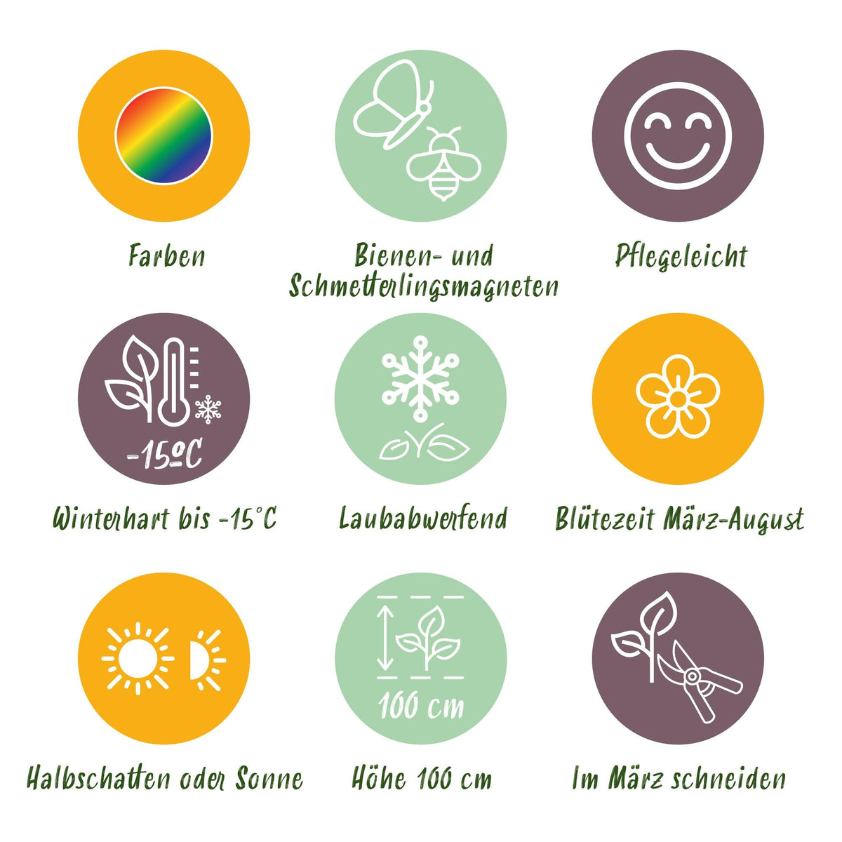 Staudenset – Weiß – 6 weiße Blühstauden – Für 1 m² Beet – Pflegeleicht – Eleganter Blütenteppich – Für sonnige Standorte – Ø11 cm