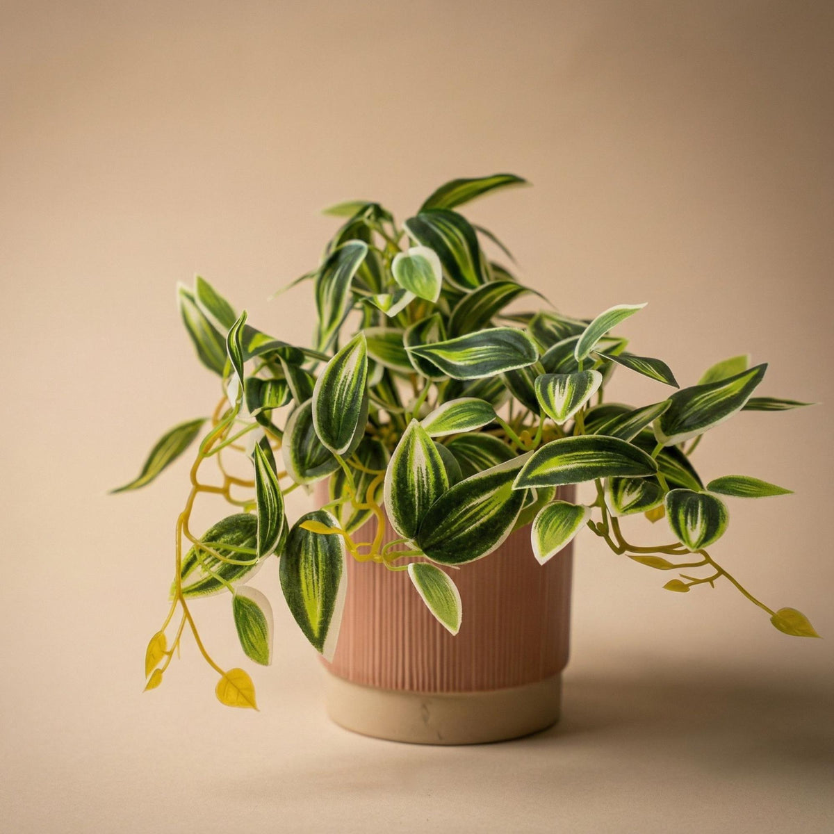 Tradescantia Grün/Weiß im Topf - 19 cm - Kunstpflanze 
