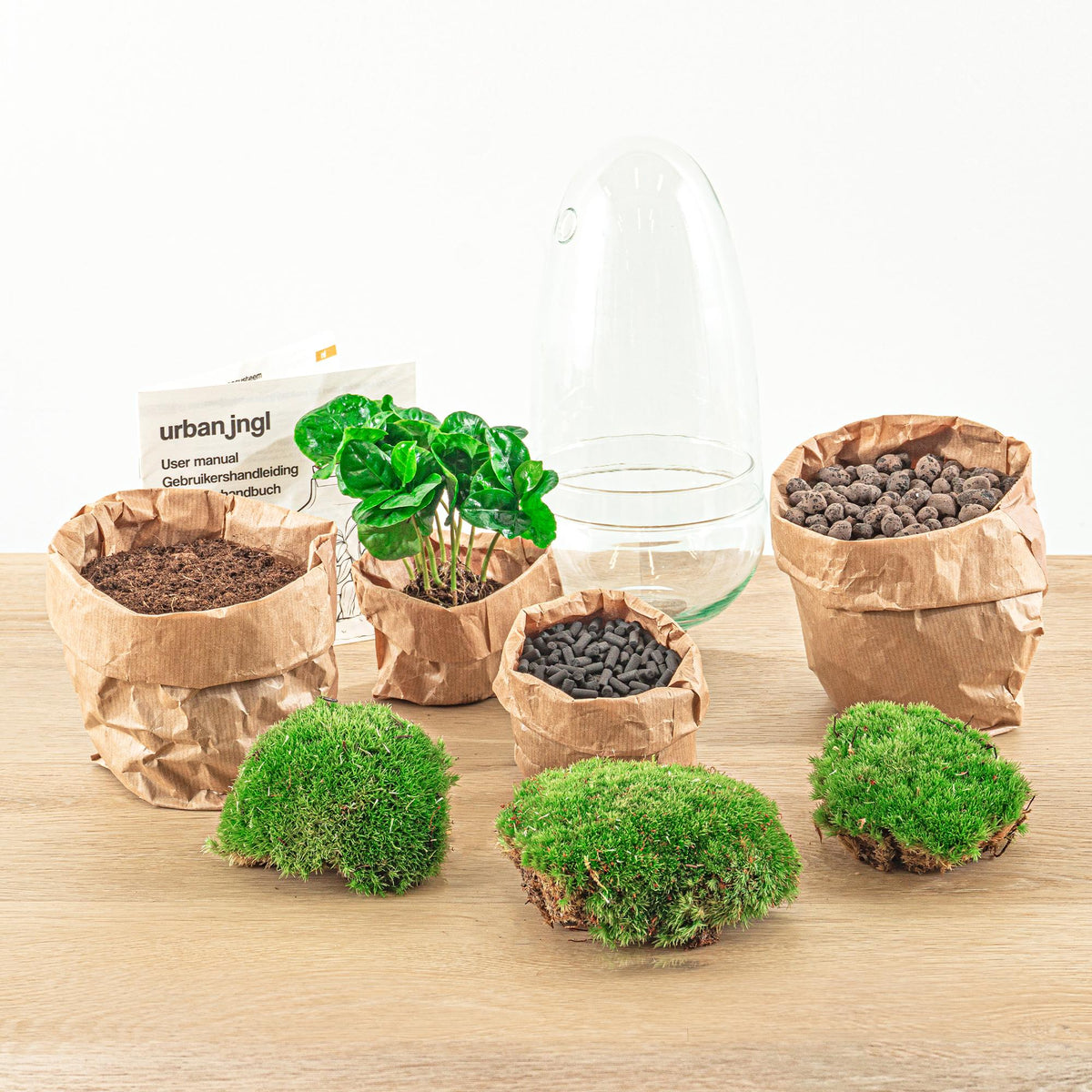 Flaschengarten Egg Coffea Arabica – DIY Pflanzen-Terrarium – Höhe 25 cm – Selbstversorgendes Mini-Ökosystem – Inkl. Moos, Erde & Pflanze – Einfacher Aufbau in 5 Schritten – Für Zuhause & Büro 