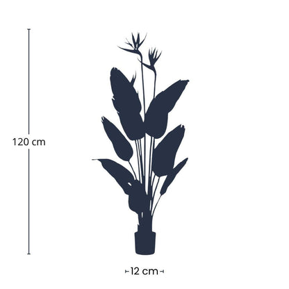 Strelitzia mit Blüten – 120cm – Kunstpflanze im schwarzen Topf – tropischer Blickfang – hochwertige Dekopflanze für Wohnzimmer, Büro & Flur – pflegeleicht 