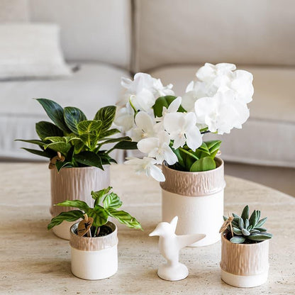 Kolibri Home | Bamboo Übertopf - Sand - Ø6cm 