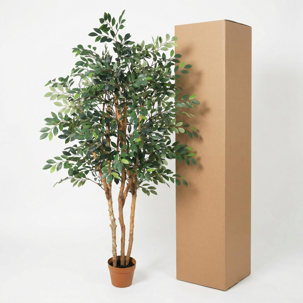 ARTIFICIAL Ficus Exotica - 150cm 