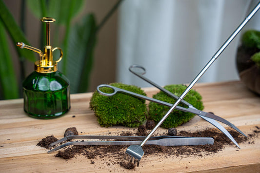Terrarienpinzette – Edelstahl – 26cm – Lange Greifpinzette für Terrarium & Flaschengarten – Rostfreie Präzisionspinzette zum Pflanzen, Dekorieren & Reinigen 