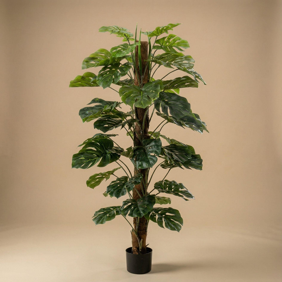 Monstera Kunstpflanze auf Ständer