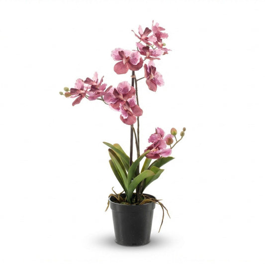 Orchidee Vanda Kunstpflanze – ca.60cm – Altrosa – Künstliche Orchidee im Topf – Pflegefreie Deko Pflanze für Wohnzimmer Büro & Empfangsbereich - Oasis of Life